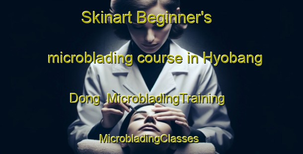 Skinart Beginner's microblading course in Hyobang Dong | MicrobladingTraining | MicrobladingClasses | SkinartTraining-Korea