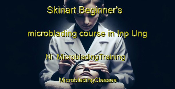 Skinart Beginner's microblading course in Inp Ung Ni | #MicrobladingTraining #MicrobladingClasses #SkinartTraining-Korea