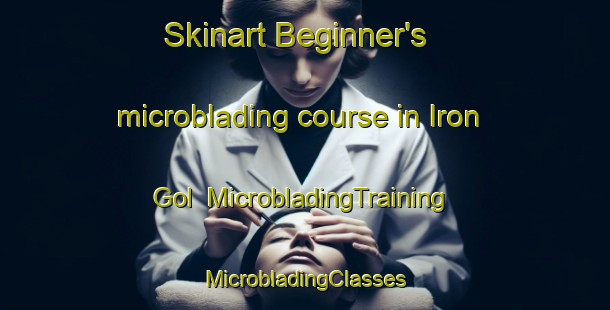 Skinart Beginner's microblading course in Iron Gol | #MicrobladingTraining #MicrobladingClasses #SkinartTraining-Korea