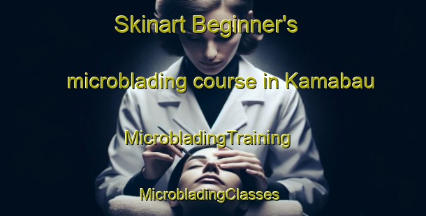Skinart Beginner's microblading course in Kamabau | MicrobladingTraining | MicrobladingClasses | SkinartTraining-Korea