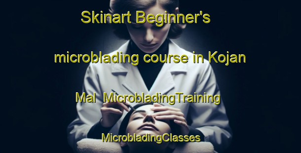 Skinart Beginner's microblading course in Kojan Mal | #MicrobladingTraining #MicrobladingClasses #SkinartTraining-Korea