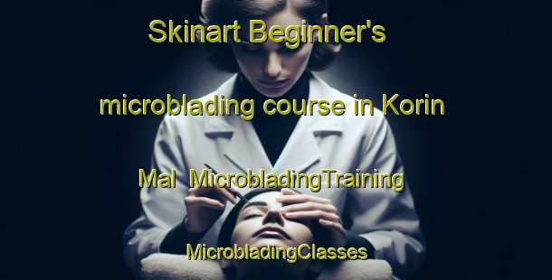 Skinart Beginner's microblading course in Korin Mal | #MicrobladingTraining #MicrobladingClasses #SkinartTraining-Korea