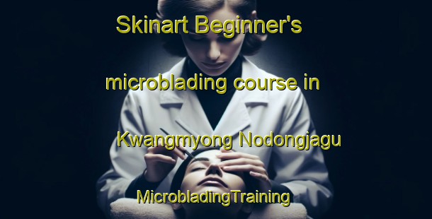 Skinart Beginner's microblading course in Kwangmyong Nodongjagu | #MicrobladingTraining #MicrobladingClasses #SkinartTraining-Korea