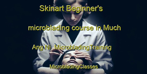 Skinart Beginner's microblading course in Much Ang Ni | #MicrobladingTraining #MicrobladingClasses #SkinartTraining-Korea