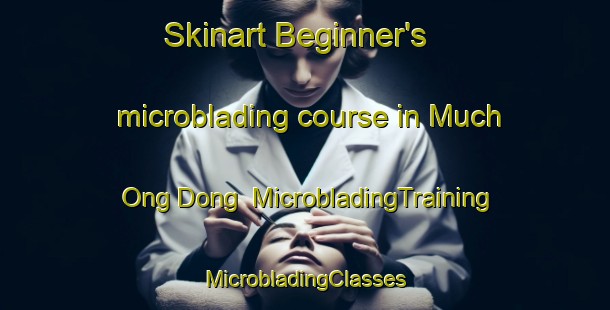 Skinart Beginner's microblading course in Much Ong Dong | #MicrobladingTraining #MicrobladingClasses #SkinartTraining-Korea