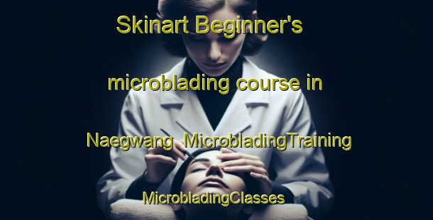 Skinart Beginner's microblading course in Naegwang | MicrobladingTraining | MicrobladingClasses | SkinartTraining-Korea