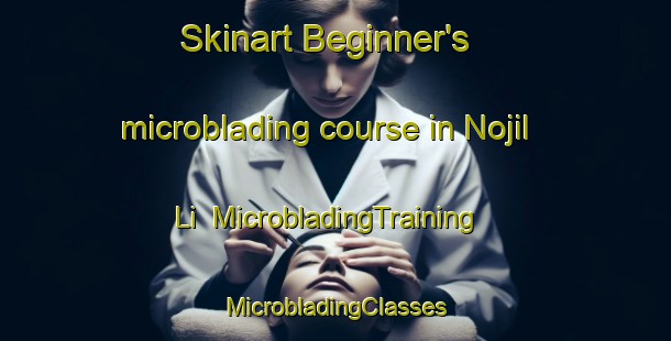 Skinart Beginner's microblading course in Nojil Li | #MicrobladingTraining #MicrobladingClasses #SkinartTraining-Korea