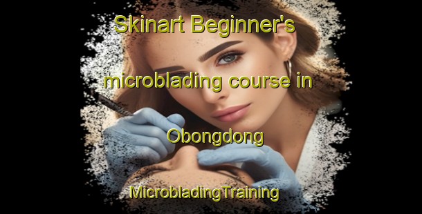Skinart Beginner's microblading course in Obongdong | MicrobladingTraining | MicrobladingClasses | SkinartTraining-Korea