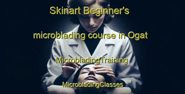 Skinart Beginner's microblading course in Ogat | #MicrobladingTraining #MicrobladingClasses #SkinartTraining-Korea