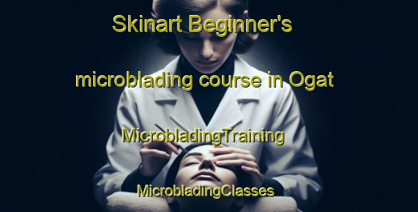 Skinart Beginner's microblading course in Ogat | MicrobladingTraining | MicrobladingClasses | SkinartTraining-Korea