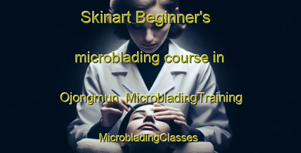 Skinart Beginner's microblading course in Ojongmun | MicrobladingTraining | MicrobladingClasses | SkinartTraining-Korea