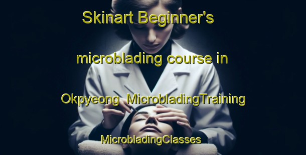 Skinart Beginner's microblading course in Okpyeong | MicrobladingTraining | MicrobladingClasses | SkinartTraining-Korea