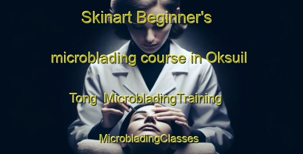 Skinart Beginner's microblading course in Oksuil Tong | MicrobladingTraining | MicrobladingClasses | SkinartTraining-Korea