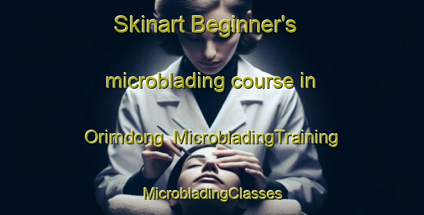 Skinart Beginner's microblading course in Orimdong | #MicrobladingTraining #MicrobladingClasses #SkinartTraining-Korea