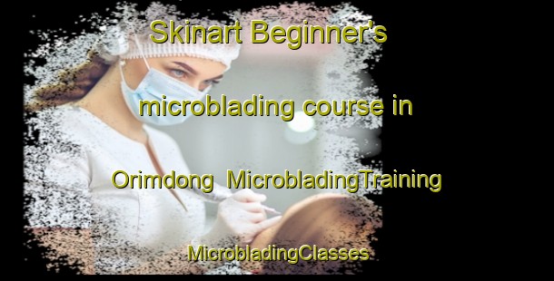 Skinart Beginner's microblading course in Orimdong | #MicrobladingTraining #MicrobladingClasses #SkinartTraining-Korea