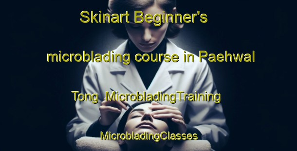 Skinart Beginner's microblading course in Paehwal Tong | #MicrobladingTraining #MicrobladingClasses #SkinartTraining-Korea