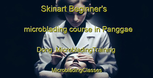 Skinart Beginner's microblading course in Panggae Dong | #MicrobladingTraining #MicrobladingClasses #SkinartTraining-Korea