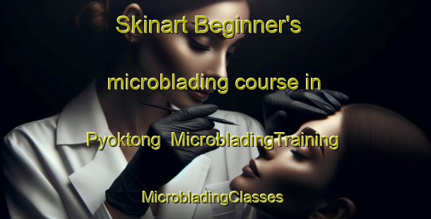 Skinart Beginner's microblading course in Pyoktong | MicrobladingTraining | MicrobladingClasses | SkinartTraining-Korea