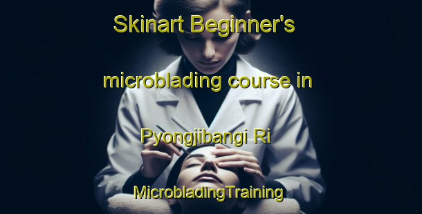 Skinart Beginner's microblading course in Pyongjibangi Ri | #MicrobladingTraining #MicrobladingClasses #SkinartTraining-Korea