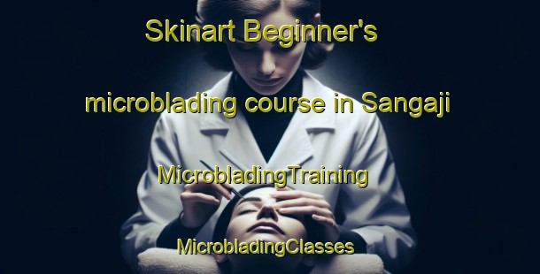 Skinart Beginner's microblading course in Sangaji | MicrobladingTraining | MicrobladingClasses | SkinartTraining-Korea