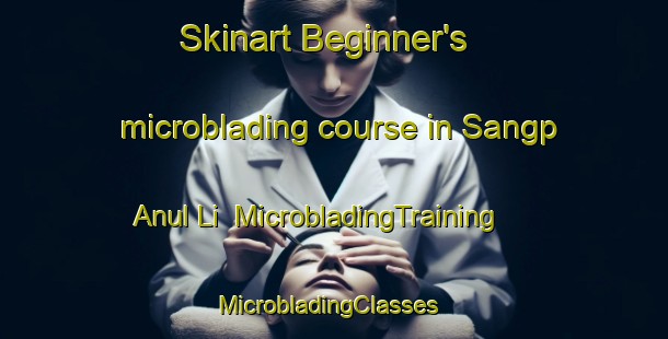 Skinart Beginner's microblading course in Sangp Anul Li | MicrobladingTraining | MicrobladingClasses | SkinartTraining-Korea