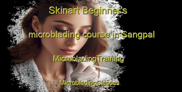 Skinart Beginner's microblading course in Sangpal | MicrobladingTraining | MicrobladingClasses | SkinartTraining-Korea