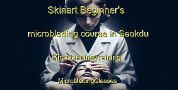 Skinart Beginner's microblading course in Seokdu | MicrobladingTraining | MicrobladingClasses | SkinartTraining-Korea