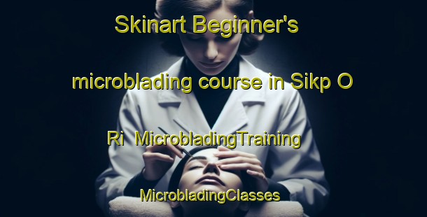 Skinart Beginner's microblading course in Sikp O Ri | MicrobladingTraining | MicrobladingClasses | SkinartTraining-Korea