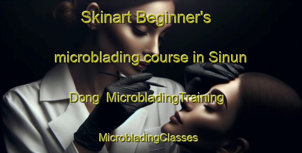 Skinart Beginner's microblading course in Sinun Dong | MicrobladingTraining | MicrobladingClasses | SkinartTraining-Korea