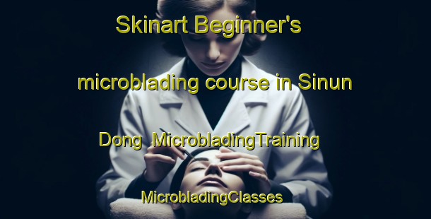 Skinart Beginner's microblading course in Sinun Dong | MicrobladingTraining | MicrobladingClasses | SkinartTraining-Korea