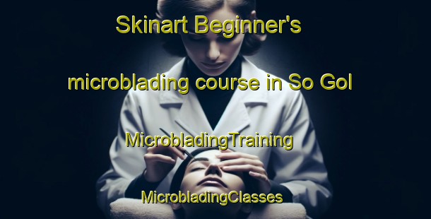 Skinart Beginner's microblading course in So Gol | MicrobladingTraining | MicrobladingClasses | SkinartTraining-Korea
