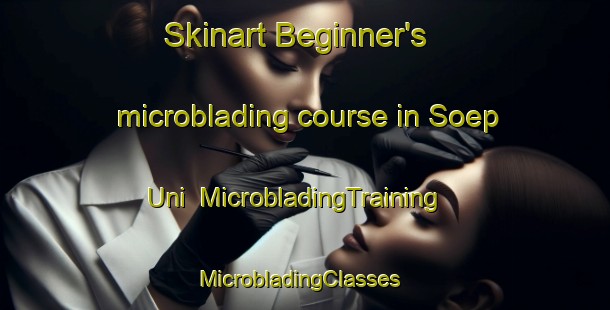 Skinart Beginner's microblading course in Soep Uni | MicrobladingTraining | MicrobladingClasses | SkinartTraining-Korea