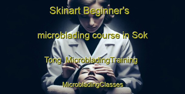 Skinart Beginner's microblading course in Sok Tong | #MicrobladingTraining #MicrobladingClasses #SkinartTraining-Korea