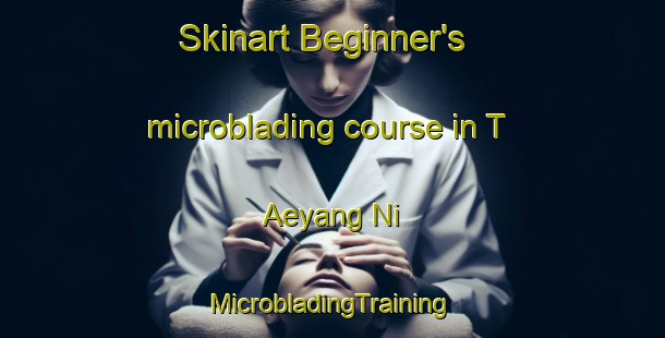 Skinart Beginner's microblading course in T Aeyang Ni | #MicrobladingTraining #MicrobladingClasses #SkinartTraining-Korea