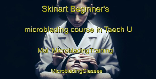 Skinart Beginner's microblading course in Taech U Mal | MicrobladingTraining | MicrobladingClasses | SkinartTraining-Korea