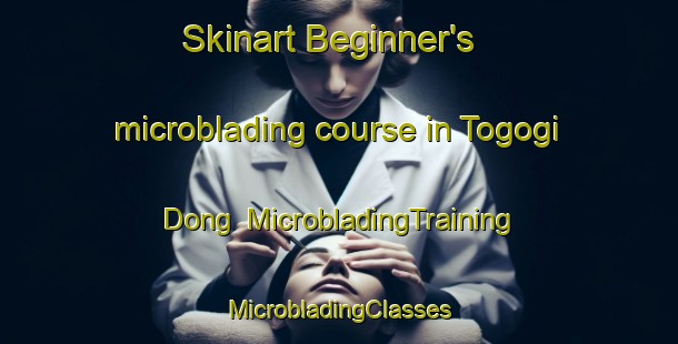 Skinart Beginner's microblading course in Togogi Dong | #MicrobladingTraining #MicrobladingClasses #SkinartTraining-Korea