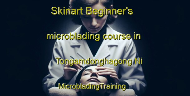 Skinart Beginner's microblading course in Tongamdonghagong Ni | MicrobladingTraining | MicrobladingClasses | SkinartTraining-Korea