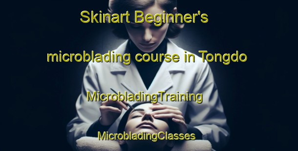 Skinart Beginner's microblading course in Tongdo | MicrobladingTraining | MicrobladingClasses | SkinartTraining-Korea