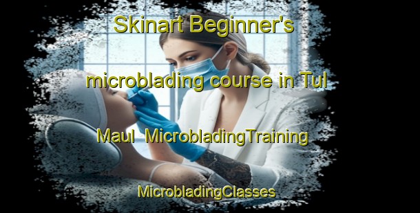 Skinart Beginner's microblading course in Tul Maul | MicrobladingTraining | MicrobladingClasses | SkinartTraining-Korea