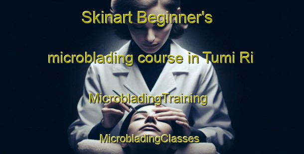 Skinart Beginner's microblading course in Tumi Ri | MicrobladingTraining | MicrobladingClasses | SkinartTraining-Korea