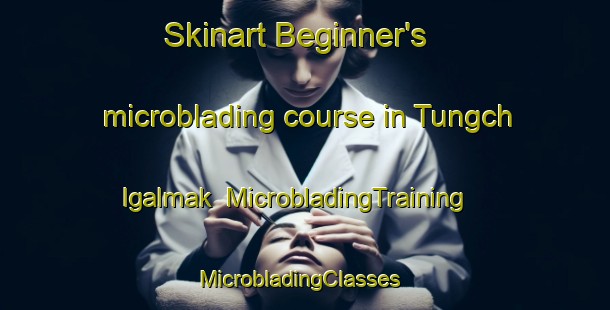 Skinart Beginner's microblading course in Tungch Igalmak | MicrobladingTraining | MicrobladingClasses | SkinartTraining-Korea