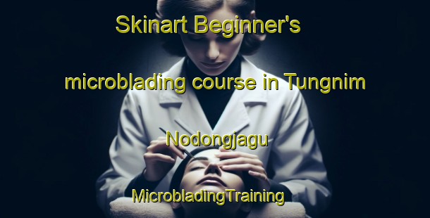 Skinart Beginner's microblading course in Tungnim Nodongjagu | MicrobladingTraining | MicrobladingClasses | SkinartTraining-Korea