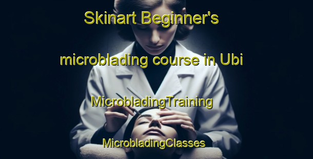 Skinart Beginner's microblading course in Ubi | MicrobladingTraining | MicrobladingClasses | SkinartTraining-Korea
