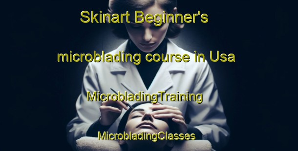 Skinart Beginner's microblading course in Usa | MicrobladingTraining | MicrobladingClasses | SkinartTraining-Korea