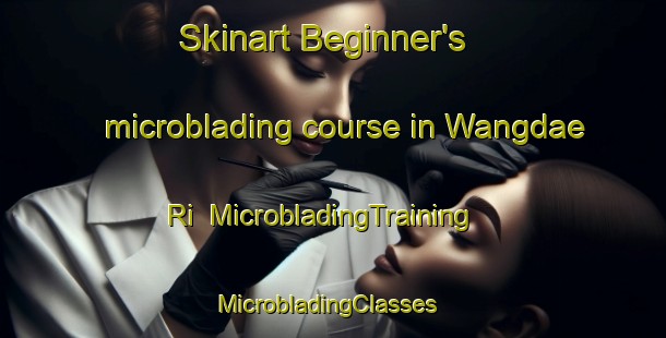 Skinart Beginner's microblading course in Wangdae Ri | MicrobladingTraining | MicrobladingClasses | SkinartTraining-Korea