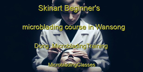 Skinart Beginner's microblading course in Wansong Dong | #MicrobladingTraining #MicrobladingClasses #SkinartTraining-Korea