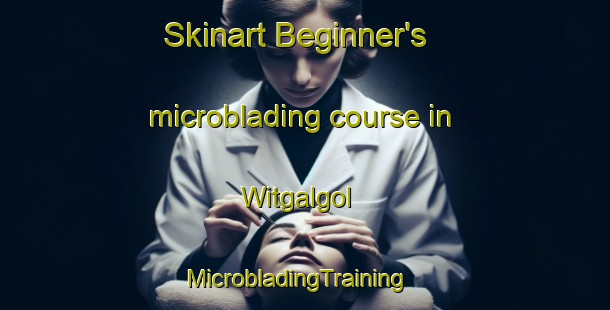 Skinart Beginner's microblading course in Witgalgol | MicrobladingTraining | MicrobladingClasses | SkinartTraining-Korea