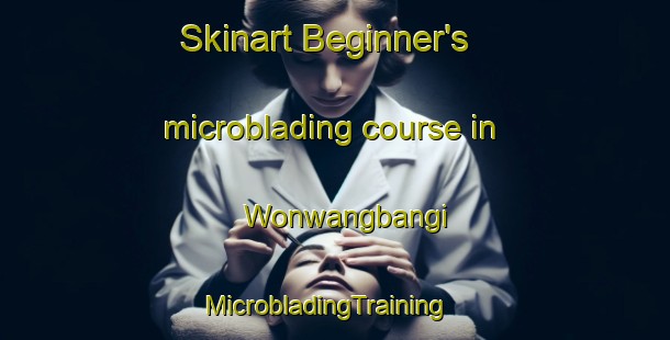Skinart Beginner's microblading course in Wonwangbangi | MicrobladingTraining | MicrobladingClasses | SkinartTraining-Korea
