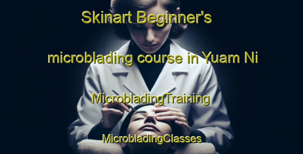 Skinart Beginner's microblading course in Yuam Ni | #MicrobladingTraining #MicrobladingClasses #SkinartTraining-Korea