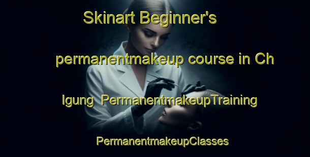 Skinart Beginner's permanentmakeup course in Ch Igung | #PermanentmakeupTraining #PermanentmakeupClasses #SkinartTraining-Korea